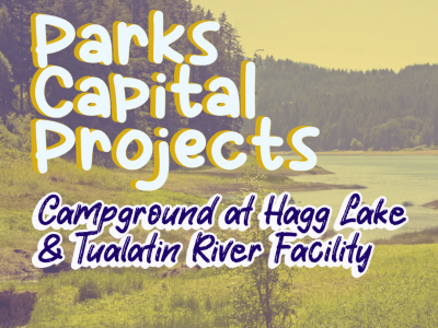 capital projects
